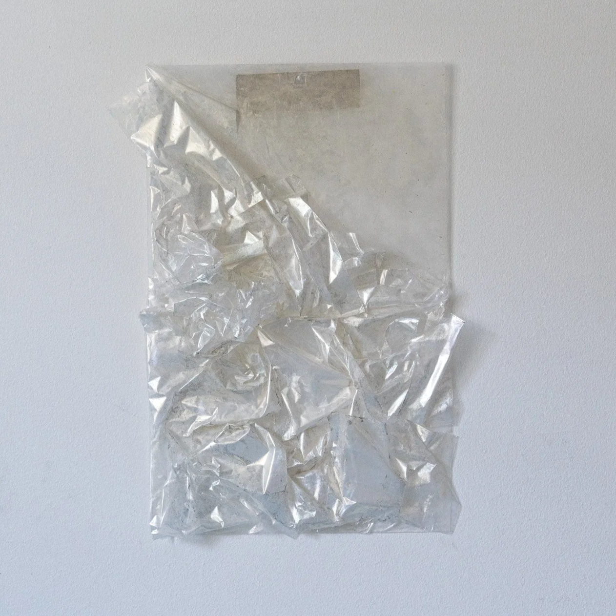 vegesent_unwrapping07.png