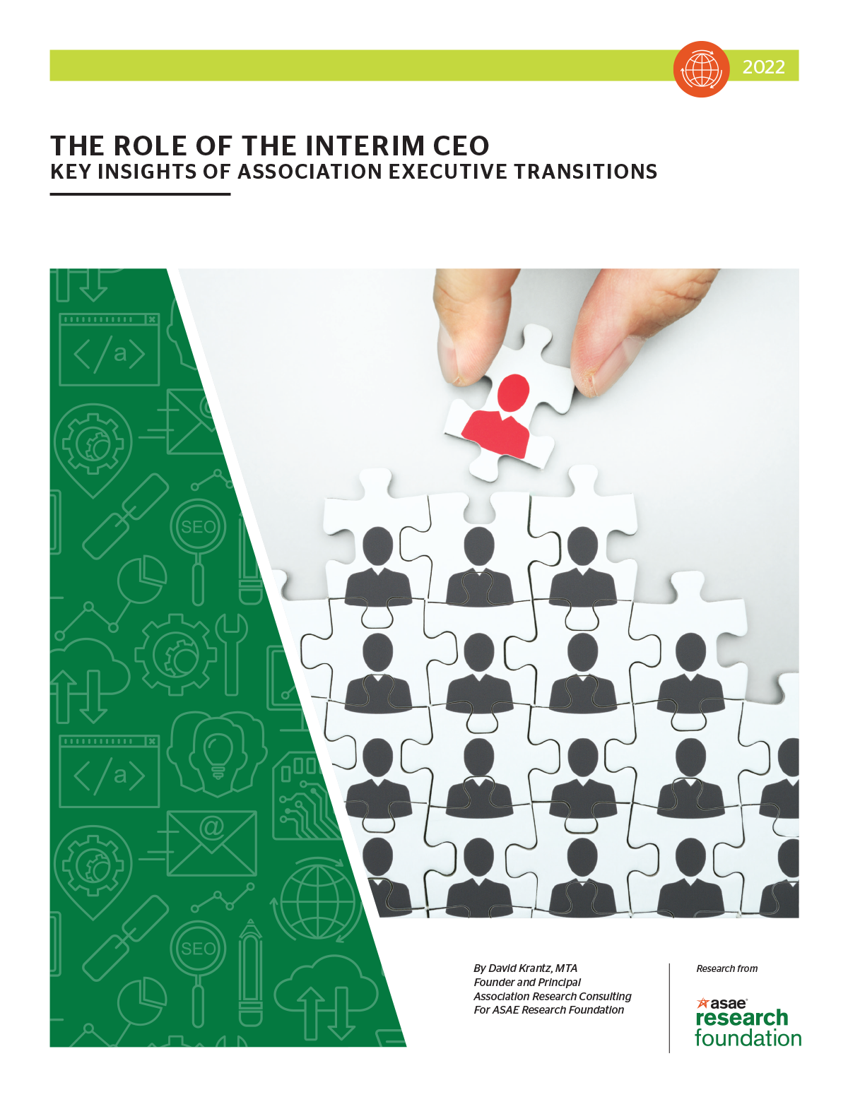 Report cover The Role of the Interim CEO