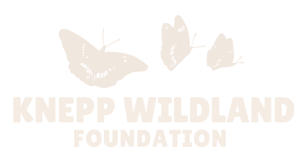 Knepp Wildland Foundation