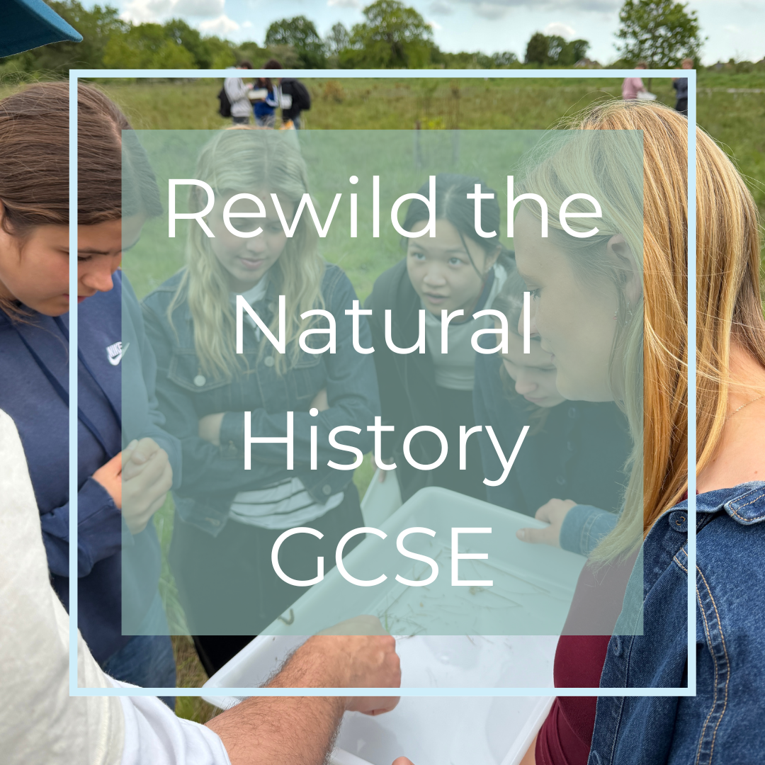 Rewild the Natural History GCSE