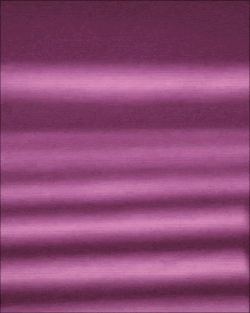 202302_Paris_Lucco_Cut-optimize.gif