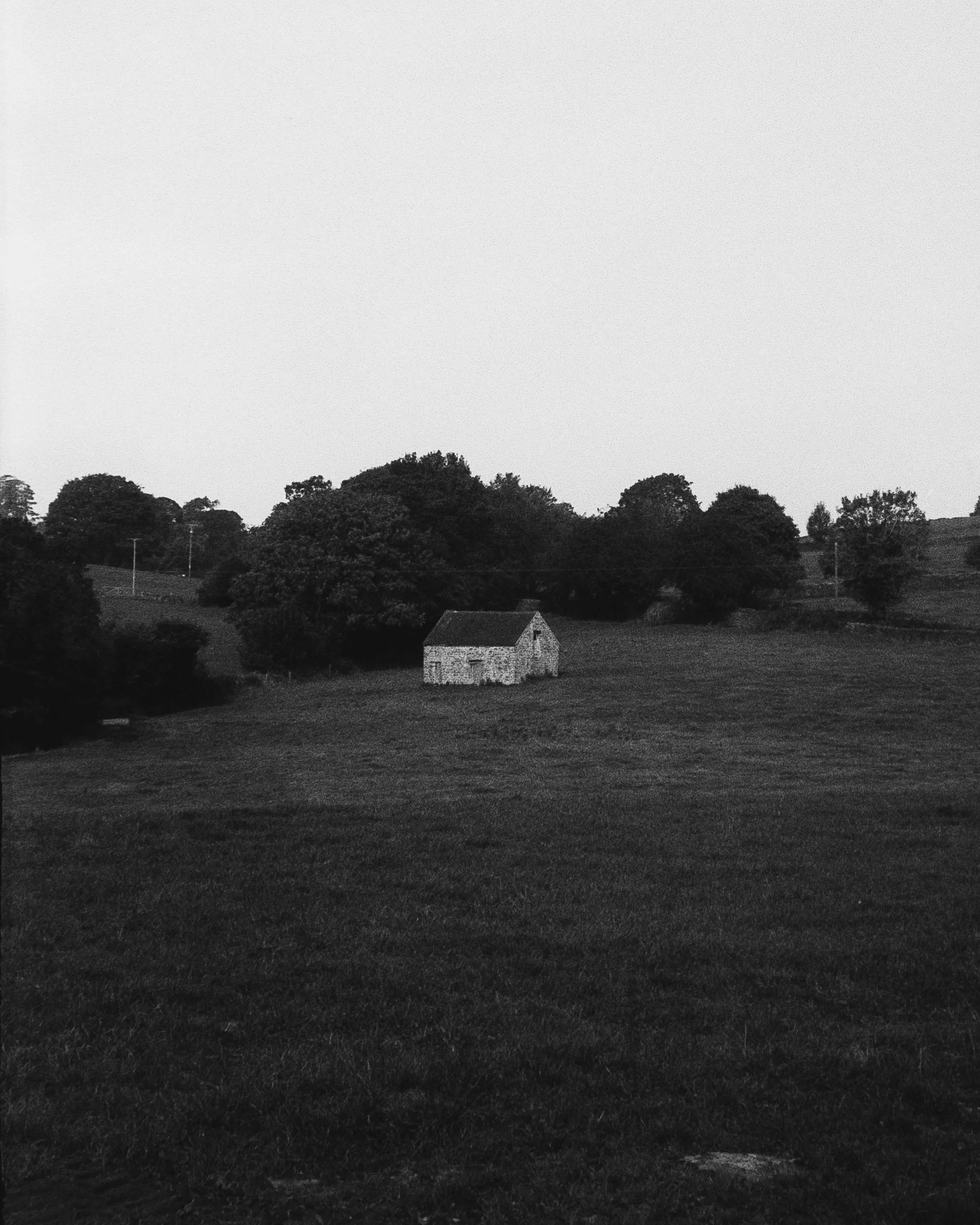 202310_AnalogBW-20.JPG