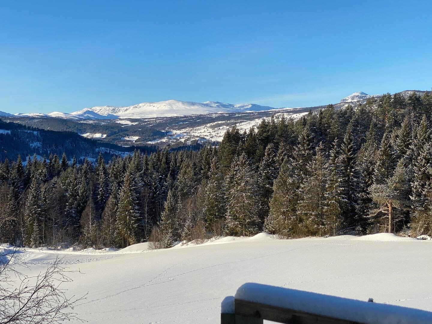 Det var kaldt, men fin utsikt i g&aring;r n&aring;r &Aring;l Byggservice isolerte hytta 🥶 Da er det endelig litt varme i hytta ☺️

#byggehytte #cabin #norway #tretopphytte #hallingdal #visitalhallingdal #hytte #stuga