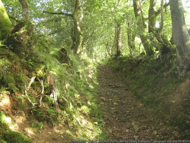   Hollow way near Pentre Ifan, Pembrokeshire  for  SN0937    ©   Lesley Eddleston. Licensed for reuse under this  Creative Commons Licence  