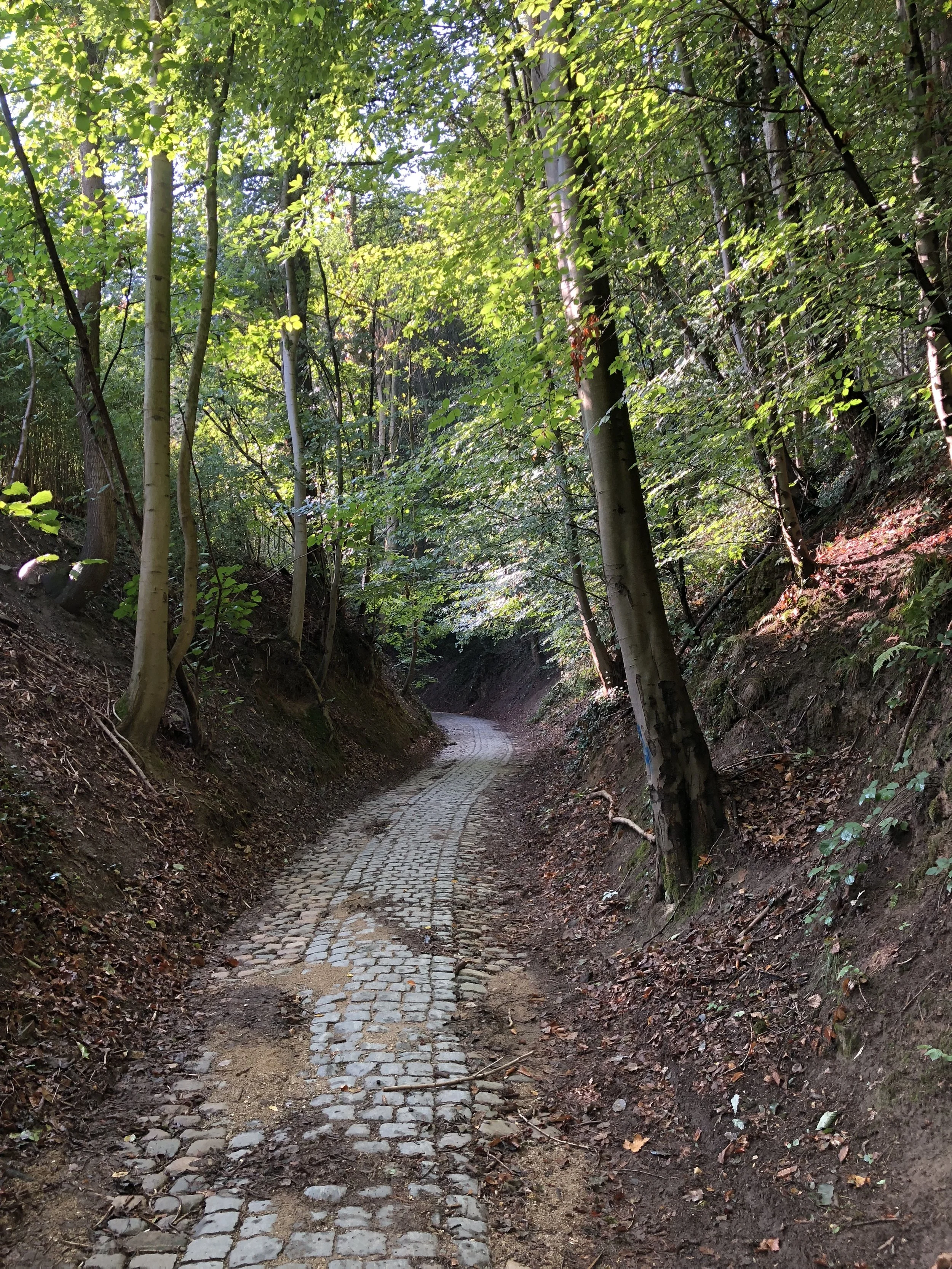  Crabbegat Holloway, Uccle, Belgium.   ©    GdML  CC BY-SA 4.0 