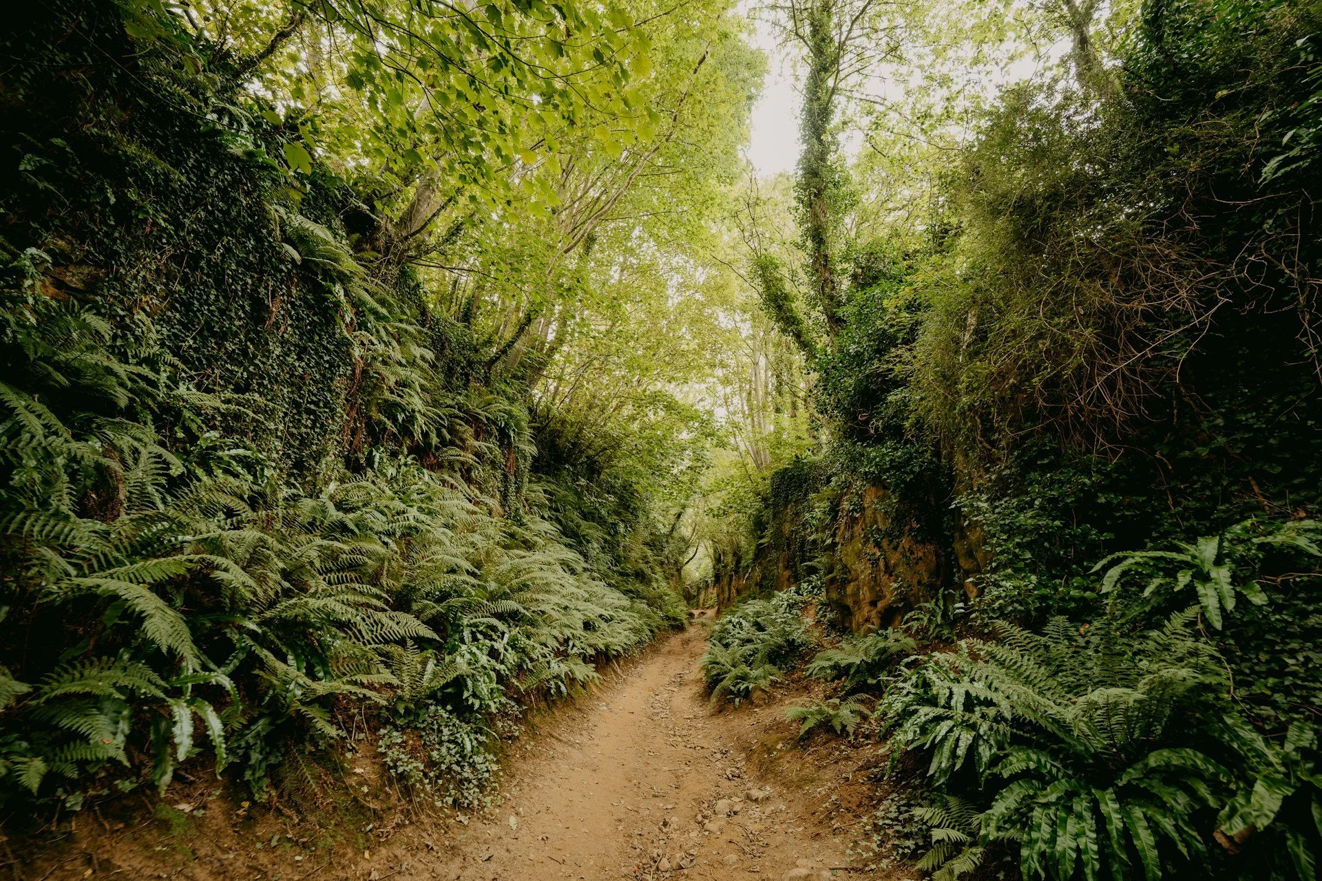  Photo by  Annie Spratt  on  Unsplash  