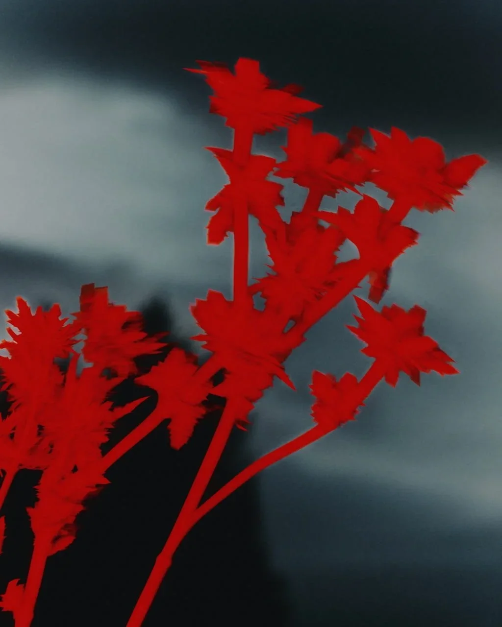 Glenfiddich - Dufftown