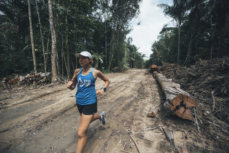 If the Amazon rainforest is destroyed by deforestation, rainfall will disappear. The effects for South American will be catastrophic.