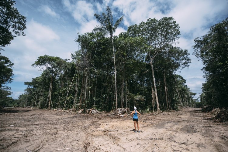 The deforestation of the Amazon is attributed to two main activities; cattle ranching & soy bean production (which is used in animal agriculture).
