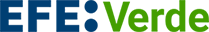EFE Verde logo