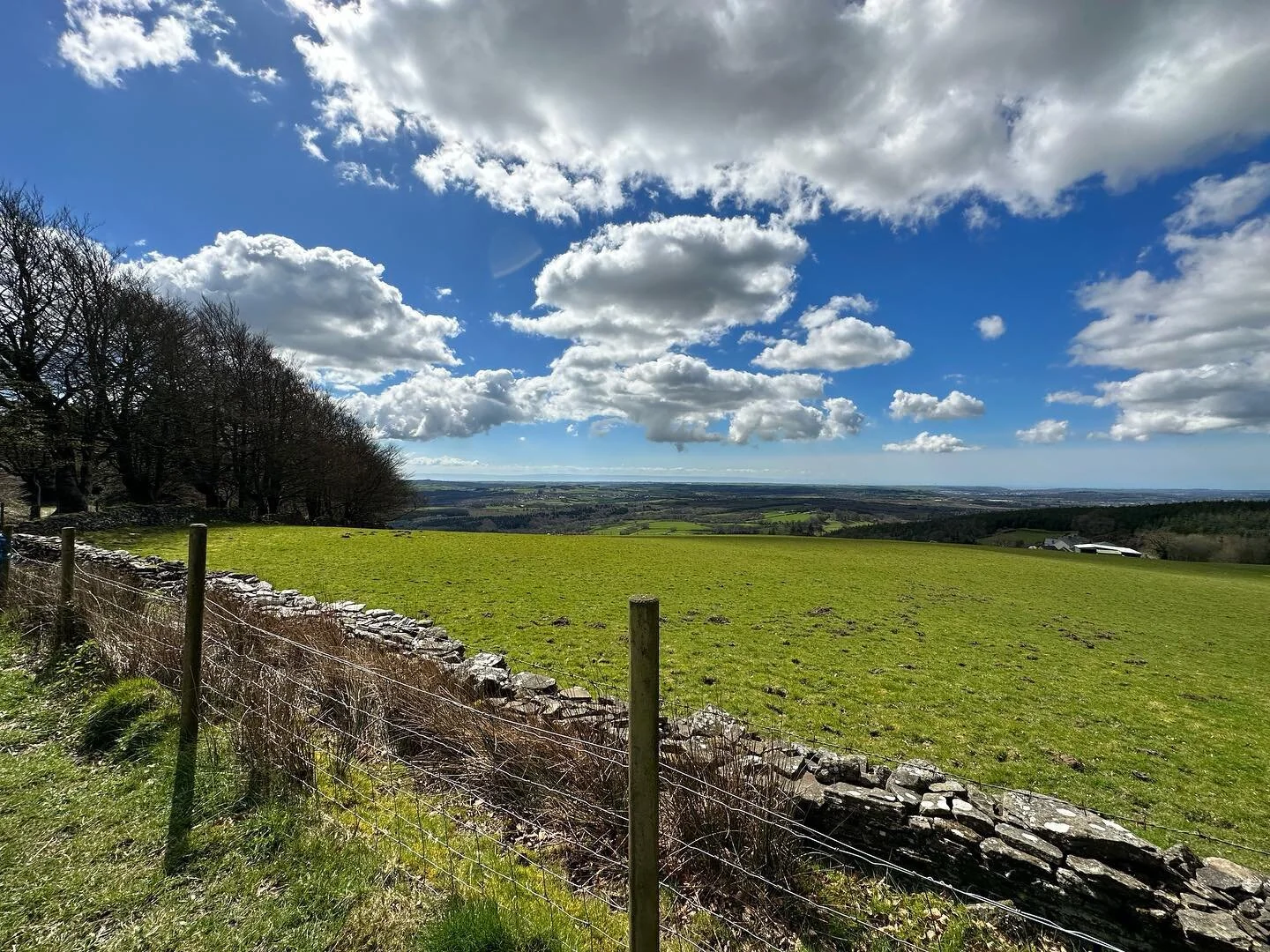 A beautiful 7k walk yesterday ☀️ 

.
.
.
.
.

#walk #fitness #health #wales #cymru #dog #walking #steps #fit #alltrails #cardiff