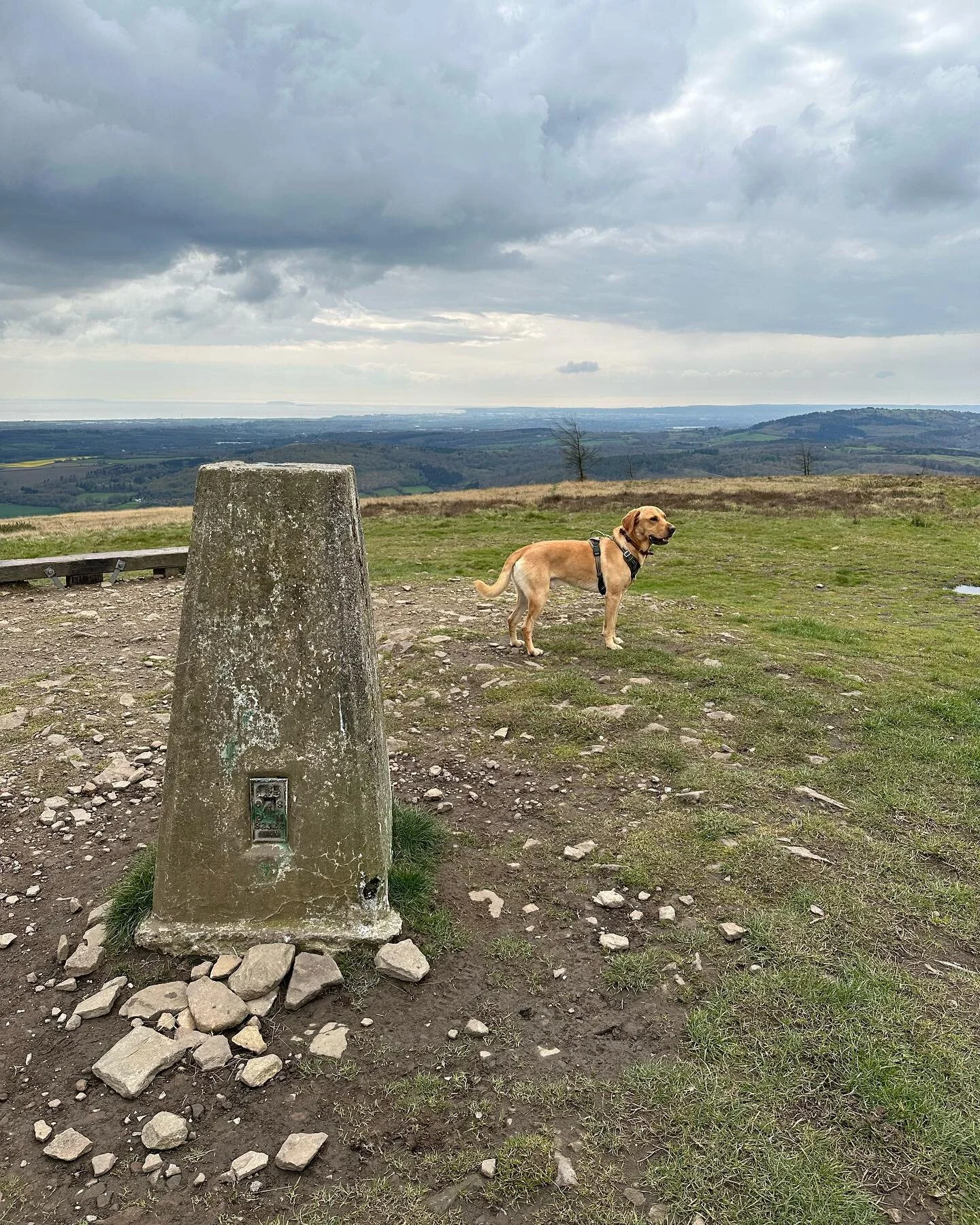 Another weekend hike 🥾✅

.
.
.
.
.

#gym #health #fitness #fit #train #trainer #personal #train #weights#compound #training #online #coach #cardiff #wales #deadlift #bench #functional #cymru #cymraeg #fitrwydd #canton #caerdydd #weight #loss #life #