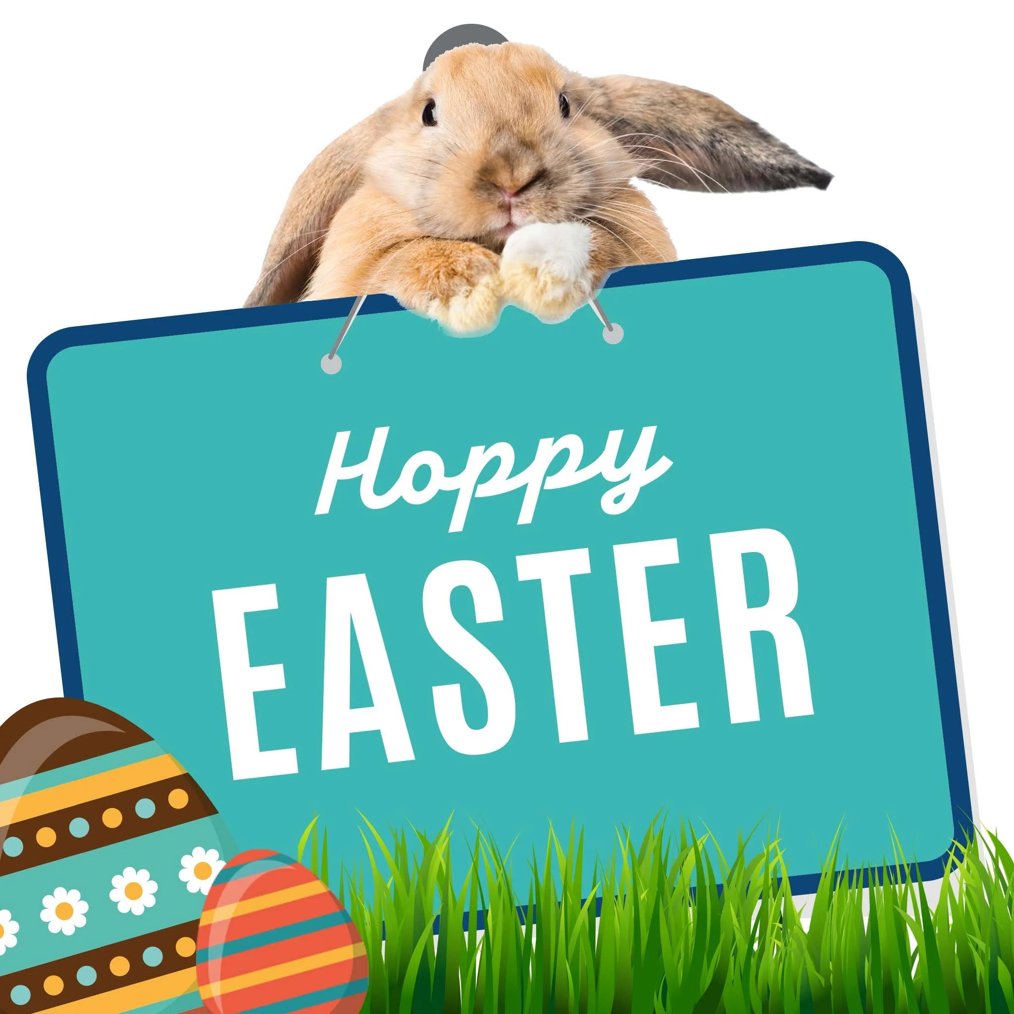Hoppy EASTER