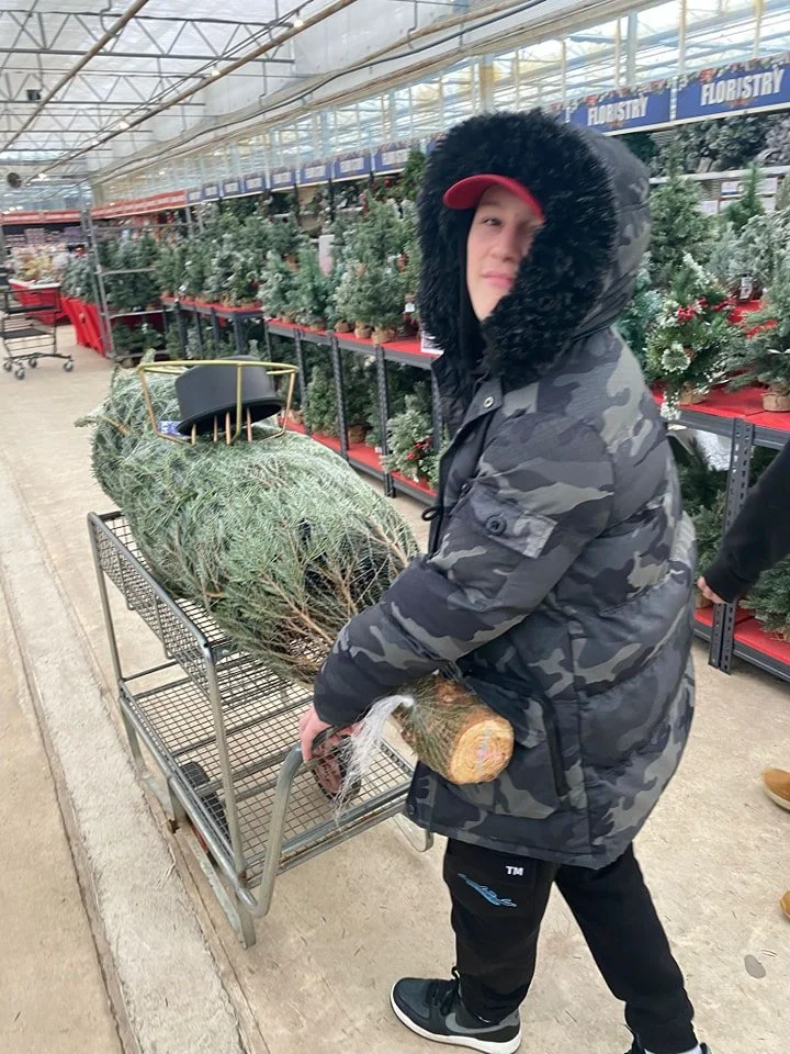 Oh Christmas tree…