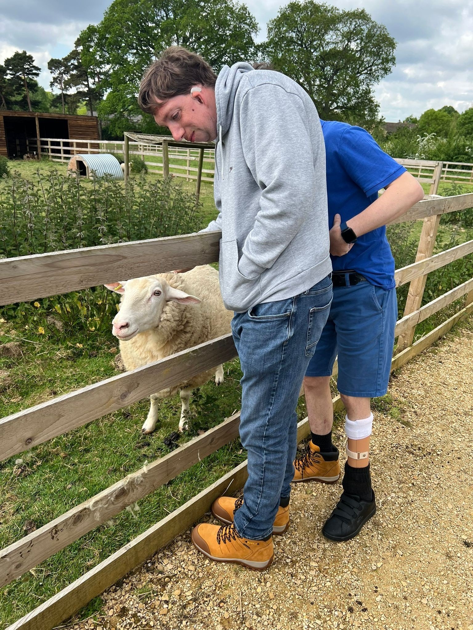 Animal Care
