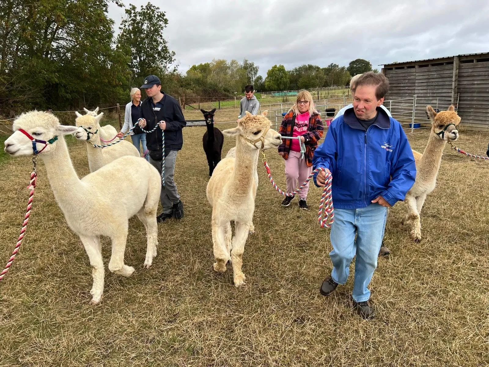Brilliant day out learning about alpacas 