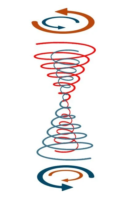 korrektur 4 Spinrichtungen Bild.jpg
