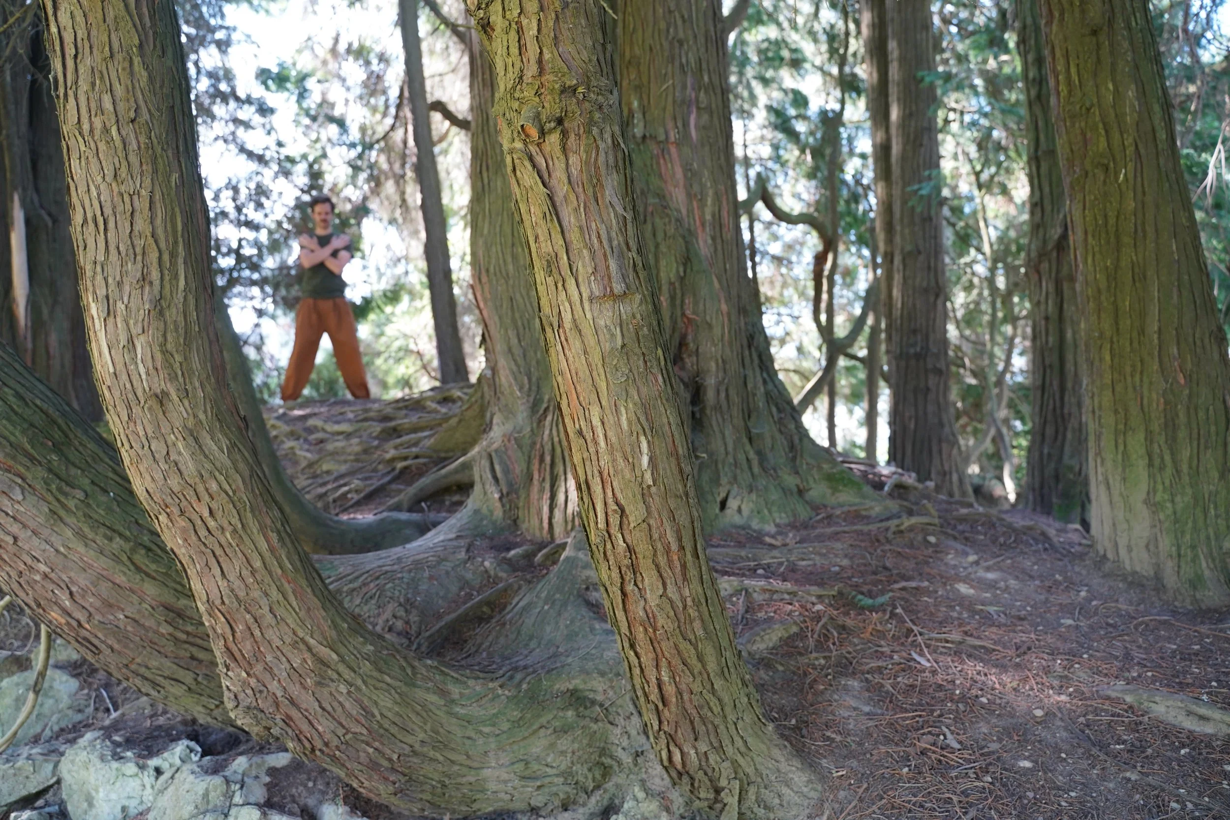 Expansion und Kontraktion – die Grundkräfte des Universums