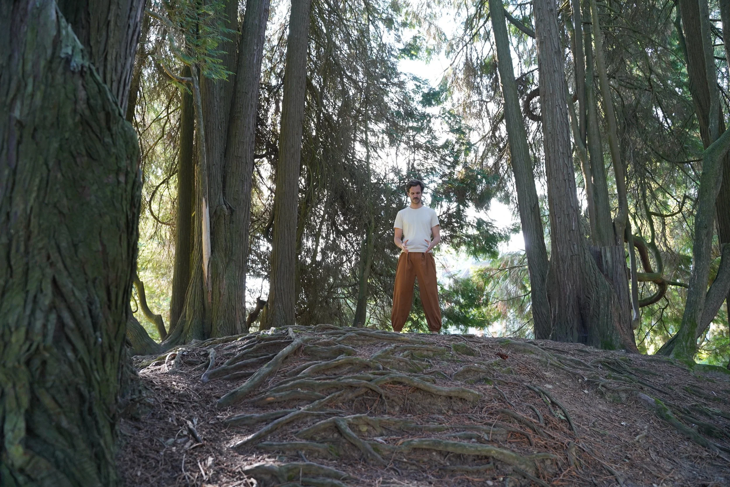 Die 5 Elemente im QiGong und der TCM