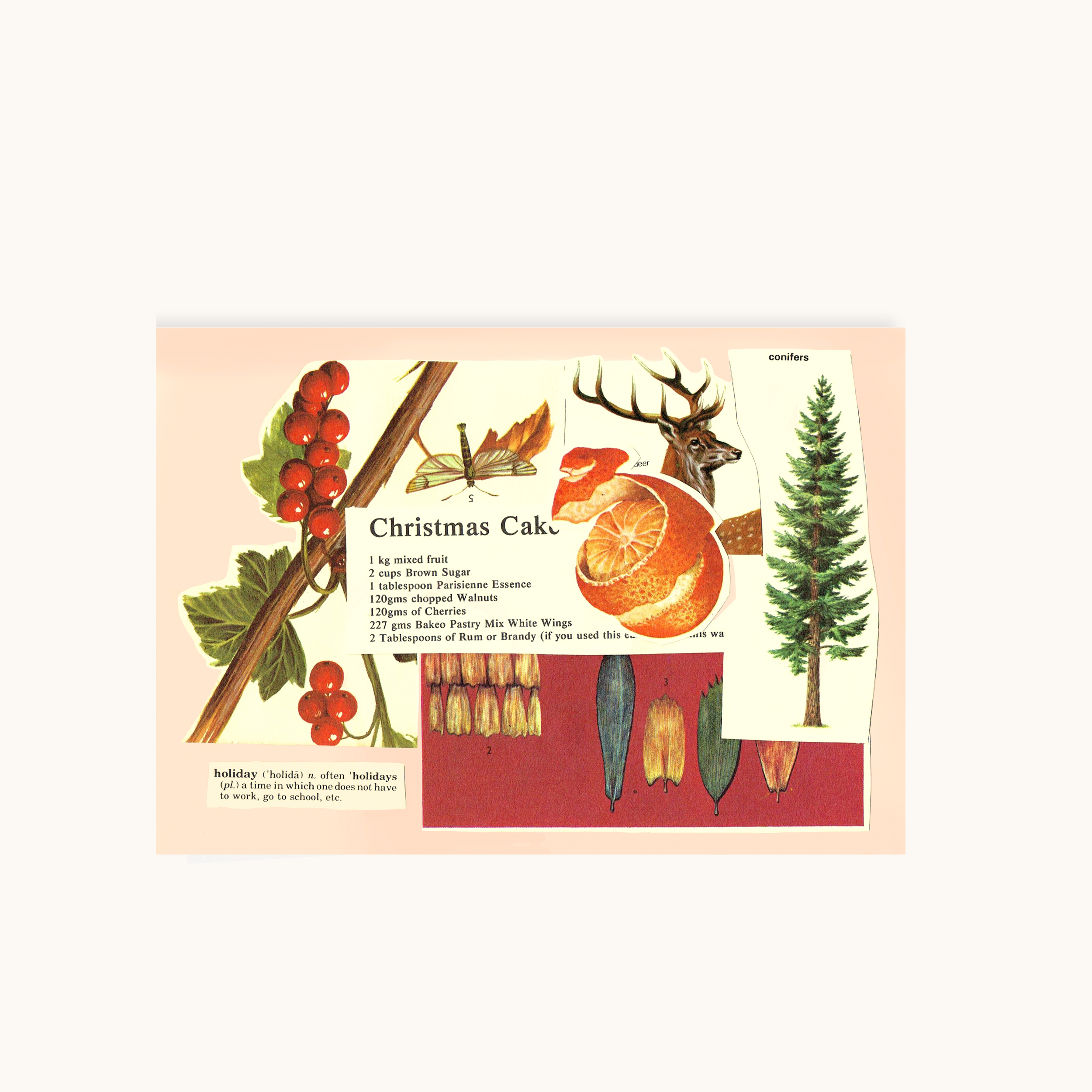 Cake - Postcard!
