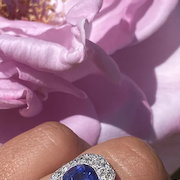 Deep-Rich-Velvety-Blue-Lilac-Burma-thumb-2o-180-293547f4-f.png