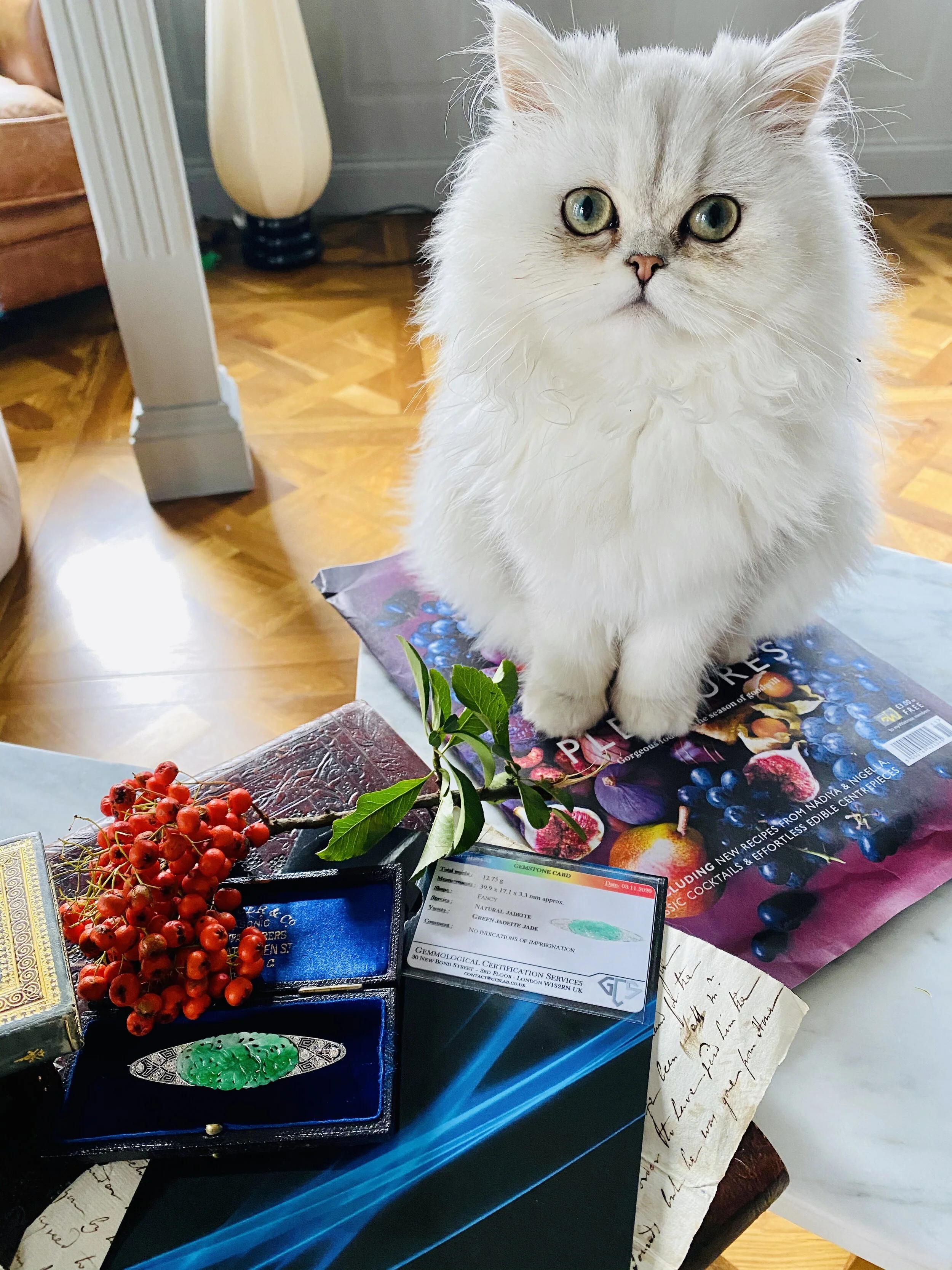 IMG_2622.jpeg