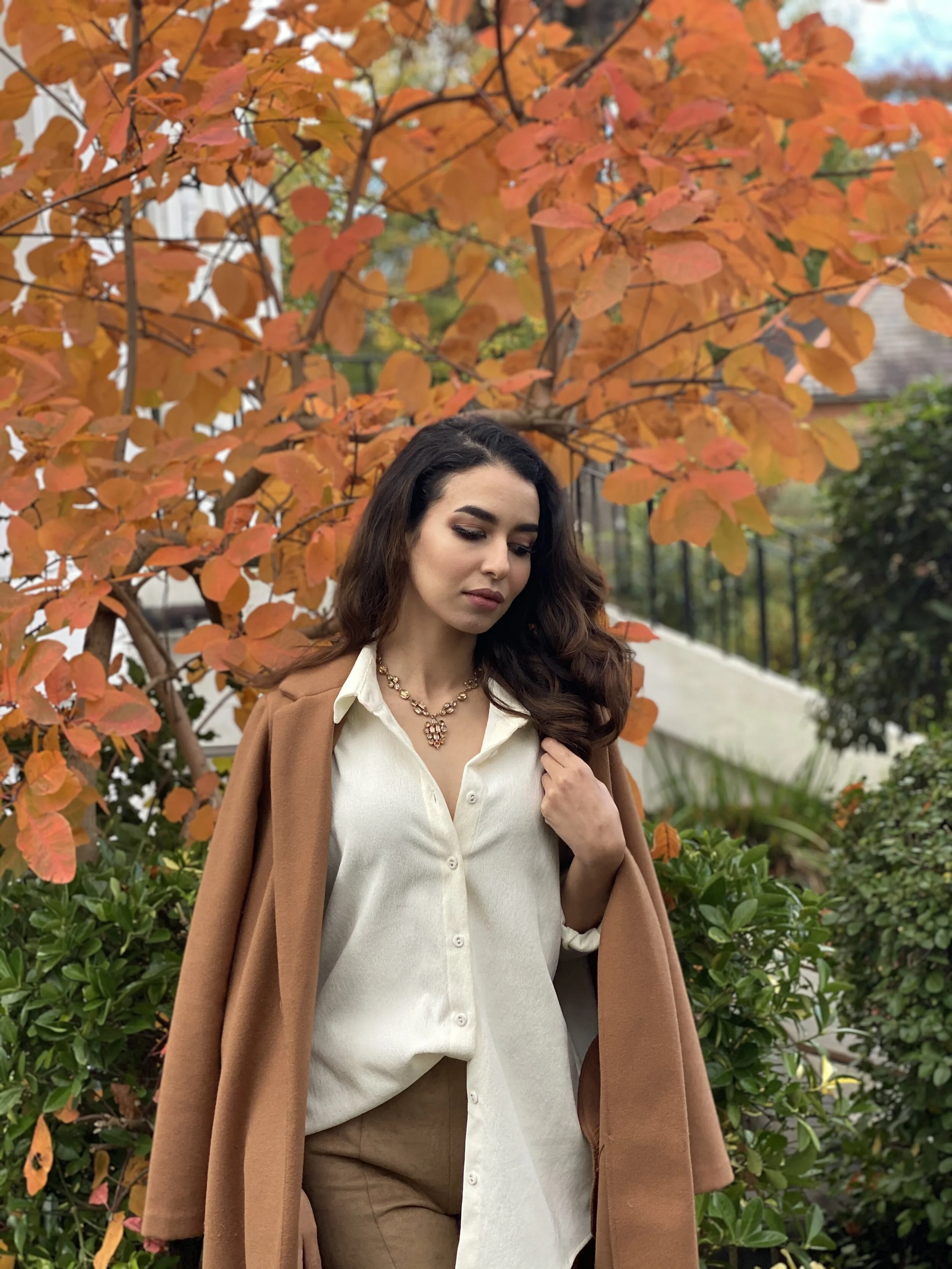 798CDBB2-A503-4A6B-A389-A5625E7CE8E5_1_201_a.jpeg