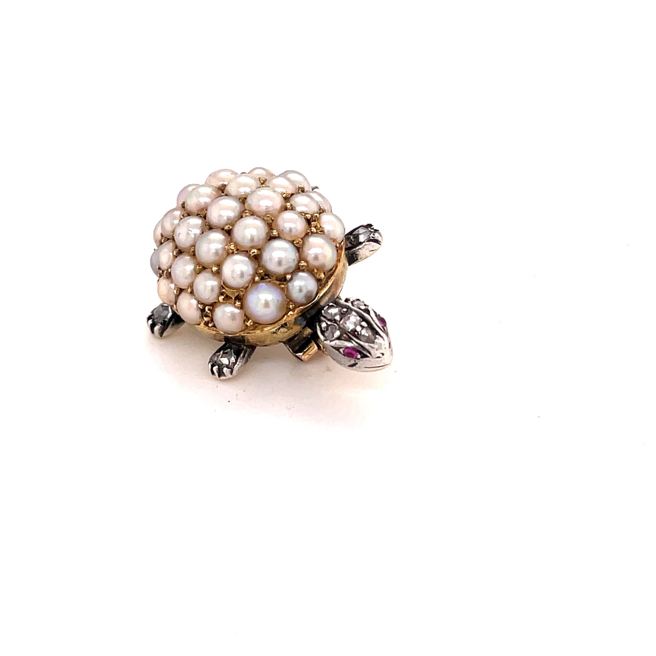 Charming, Victorian Natural Pearl Tortoise ca1880