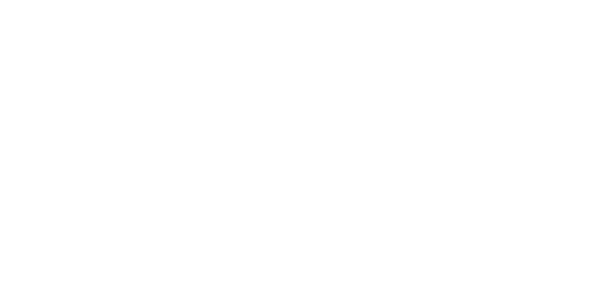logos-birklean.png