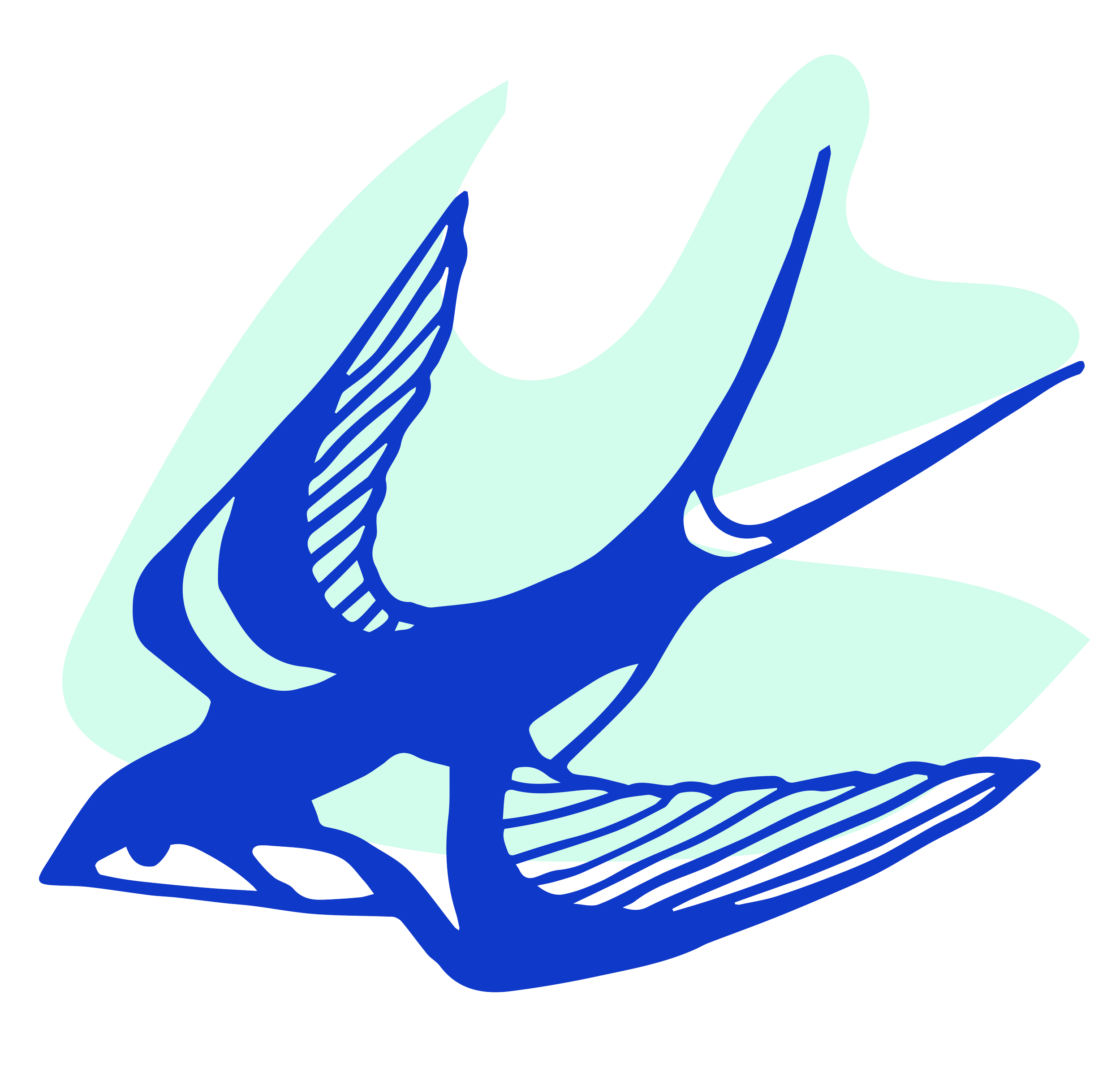 Bird-04.png