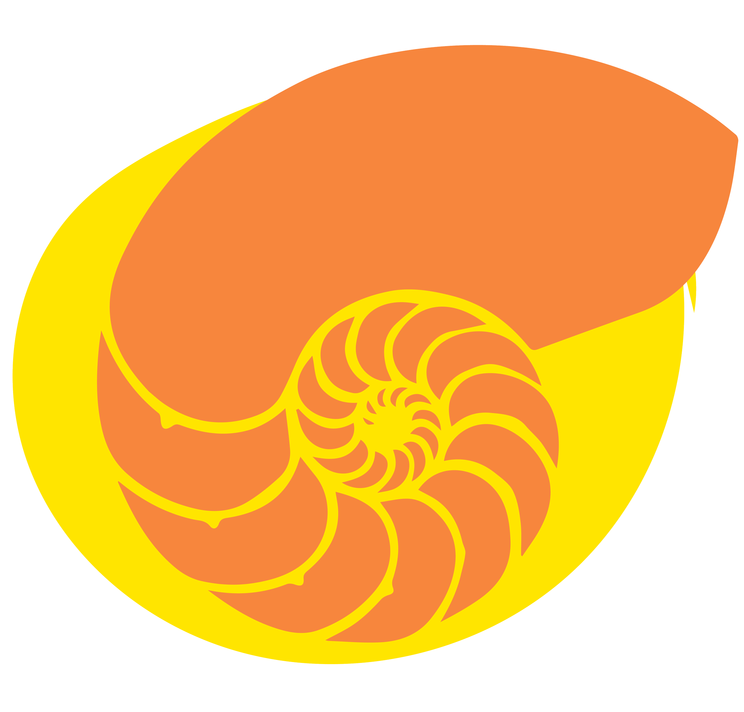 shell-03.png