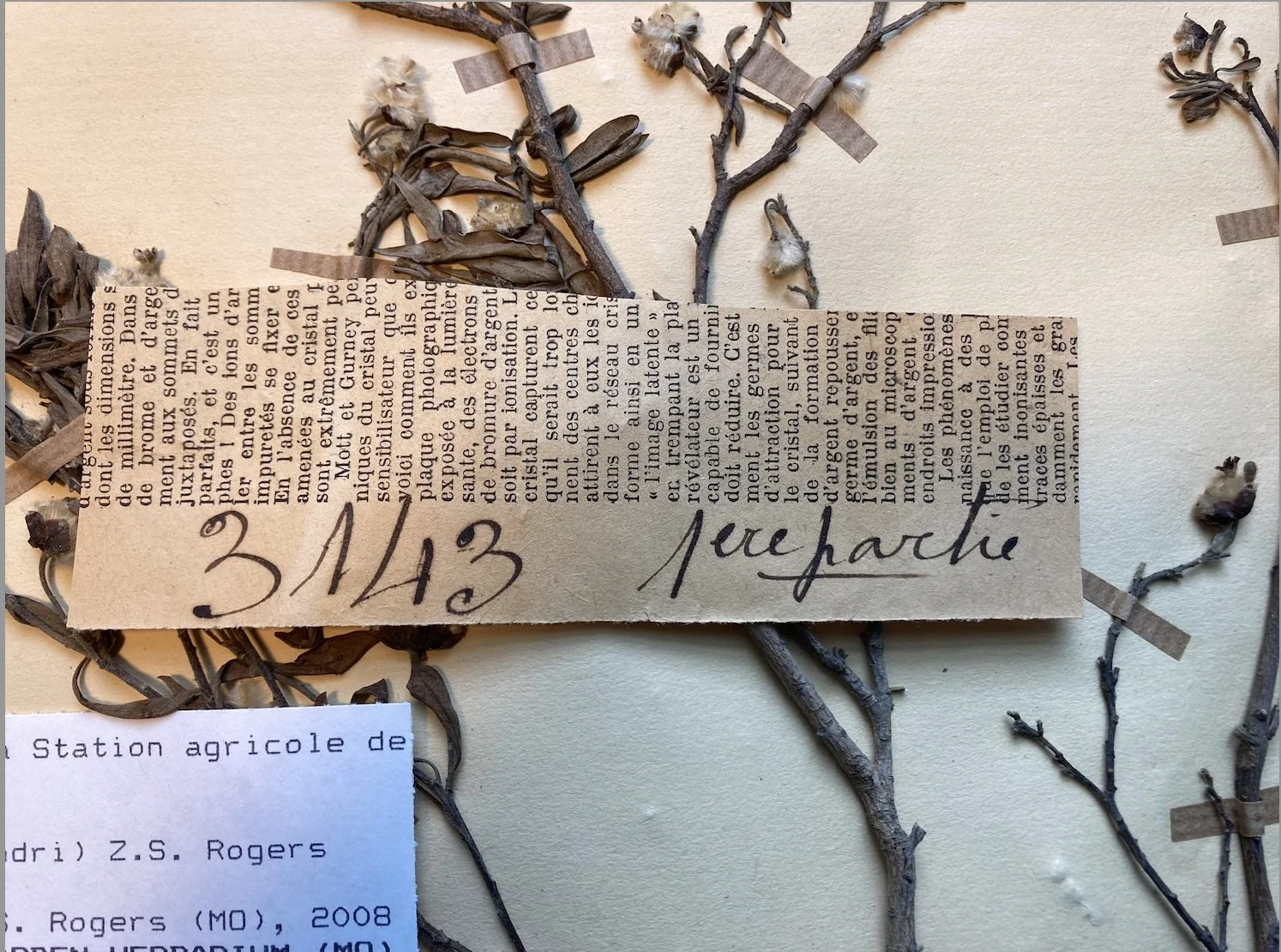 Nuala Caomhanach (Geneva Graduate Institute): Collecting Rarity: The Conundrum of Instructing and Constructing - Histories of Malagasy Endemism from Colonial Plant Specimens