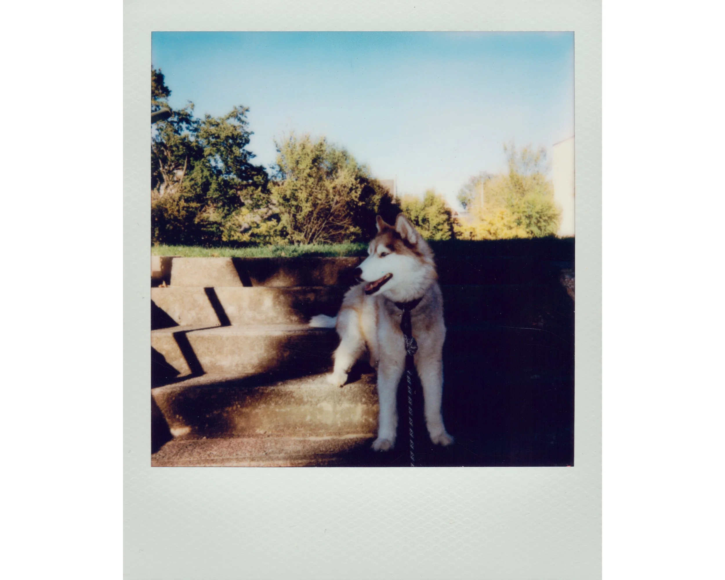 Original Kota Polaroid