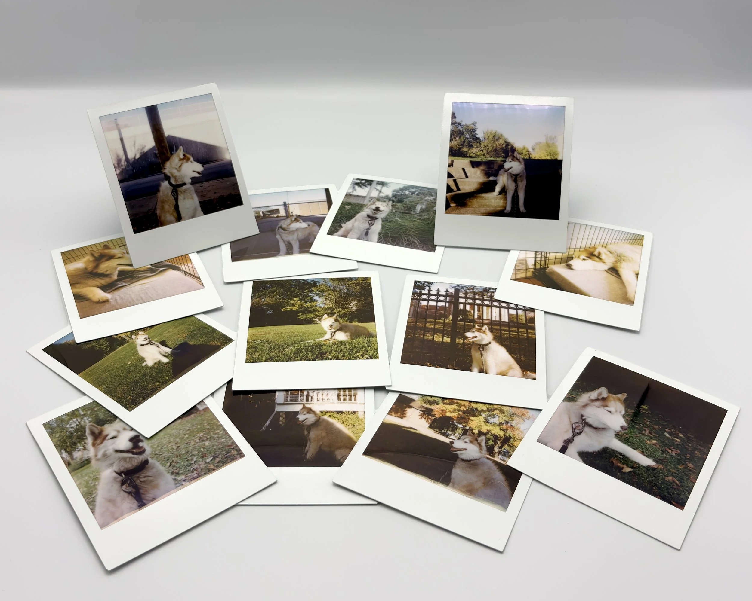 Polaroid-Layout.jpg