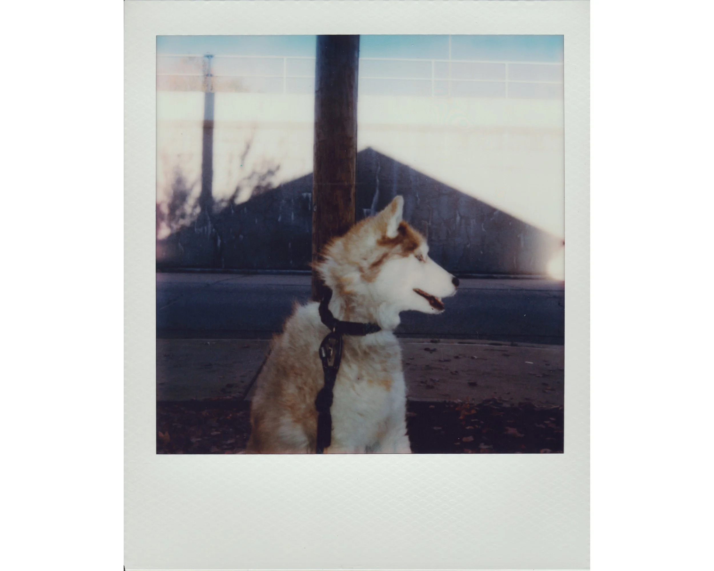 Kota-Polaroid-Sample-02.jpg