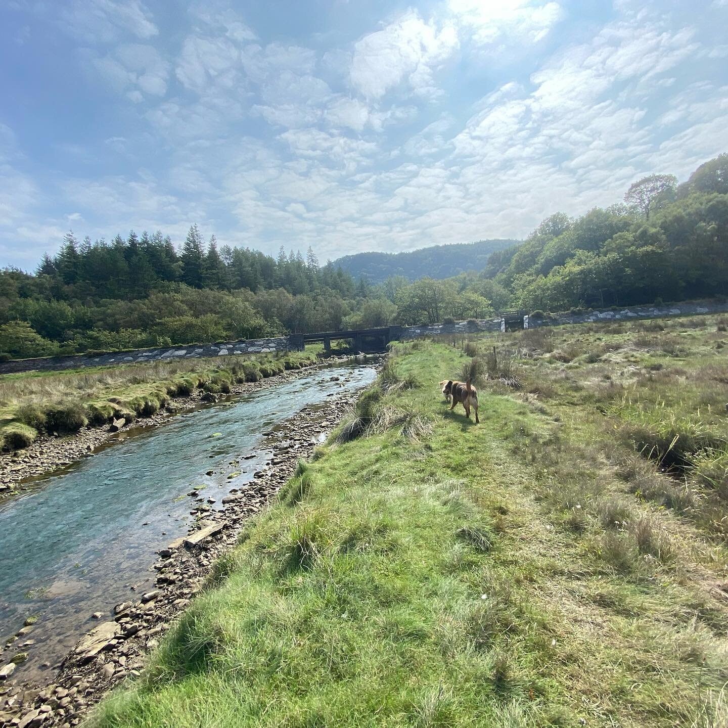 10 minute walk from the campsite, the beautiful Mawddach Estuary 😍

 #campfires #campingwithdogs #tentcamping #campinglife⛺️ #campvibes #campinglove #camping⛺️ #wildcamping #travel #nature #wilderness #intothewild #outdoors #outdoorlife #landscape #