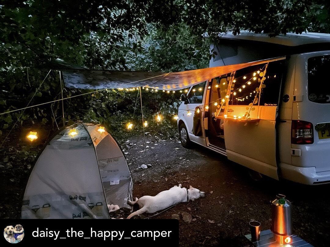 Beautiful setup by @daisy_the_happy_camper in one of our woodland campervan pitches 😍 

Available for booking all year round, these secluded woodland pitches get booked up pretty fast- so make sure you get in early! ⏳

&bull;
&bull;
&bull;
#camperva