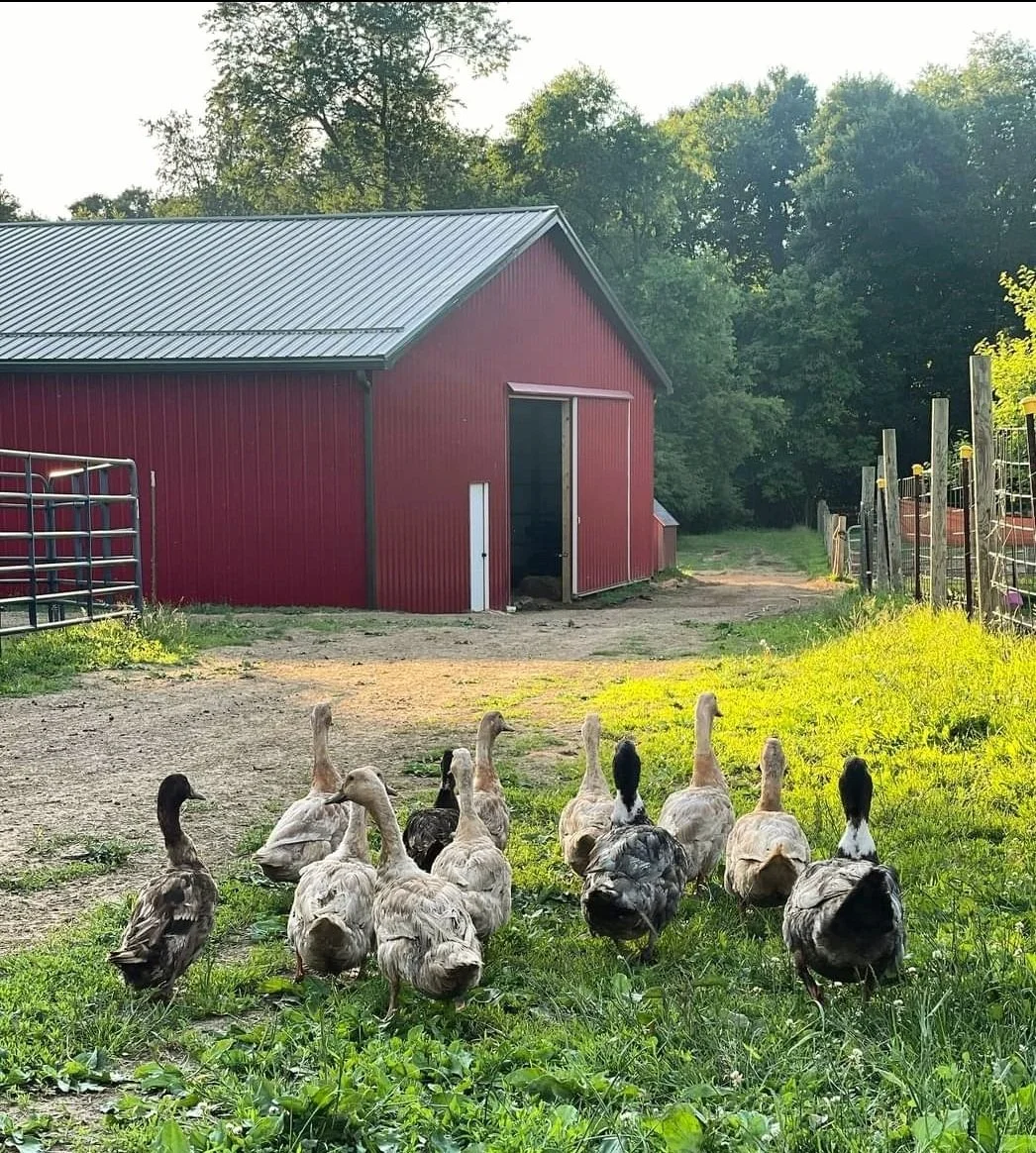Kindred Spirits Rescue Ranch