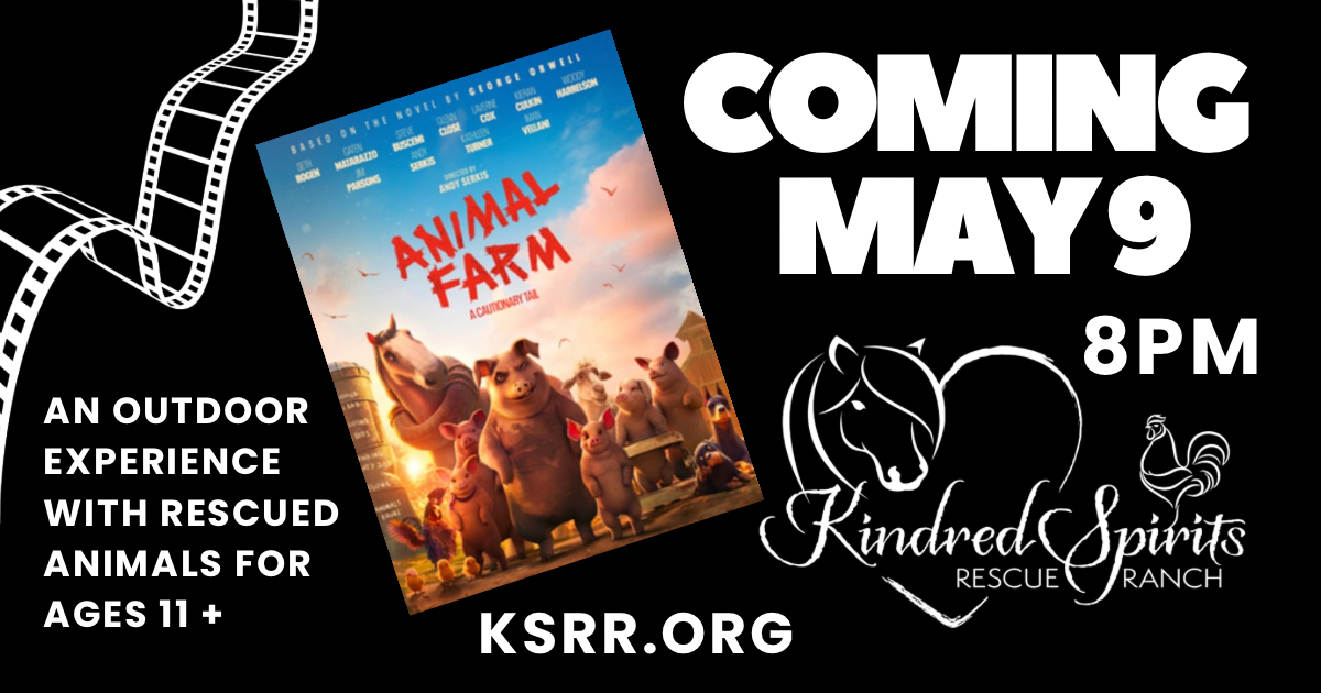 Barnyard Big Screen Featuring Animal Farm