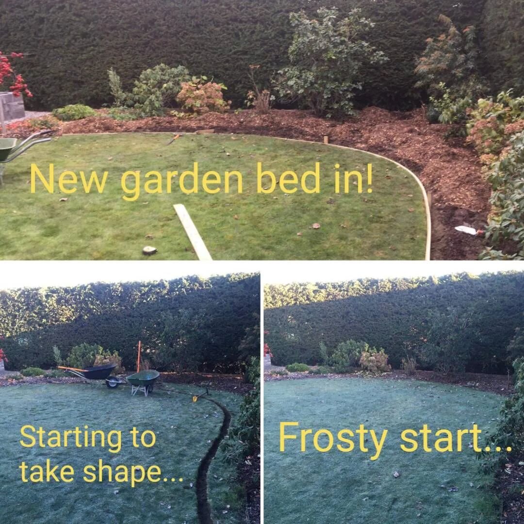 We carry on working right through winter, here's one of our recent jobs, increasing the size of a garden bed and adding nice wooden defined edge and mulching for future planting out.

#dougthegardener #gardenwanaka #landscapewanaka #wanakagardens #wa