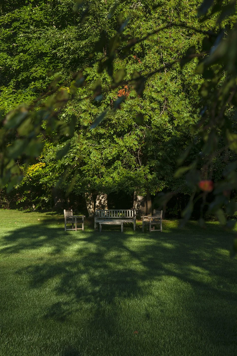 GARDEN 2 lighter copy X.jpg