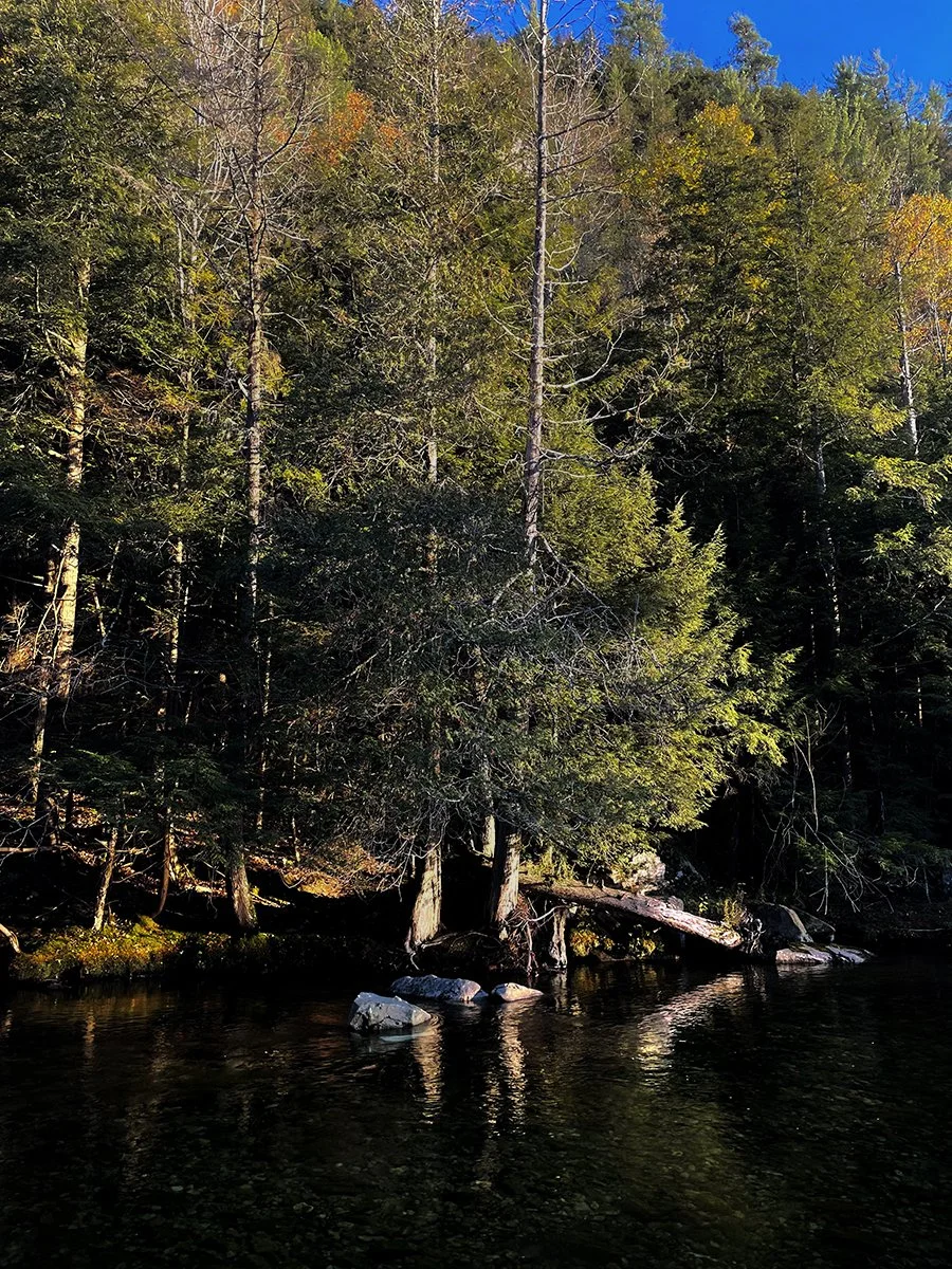 RIVER REFLECTIONS copy X.jpg