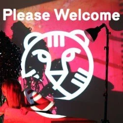 IFFR - The eye of the tiger