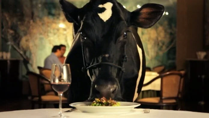 TFF 34: "Animal Politico" di Tiao