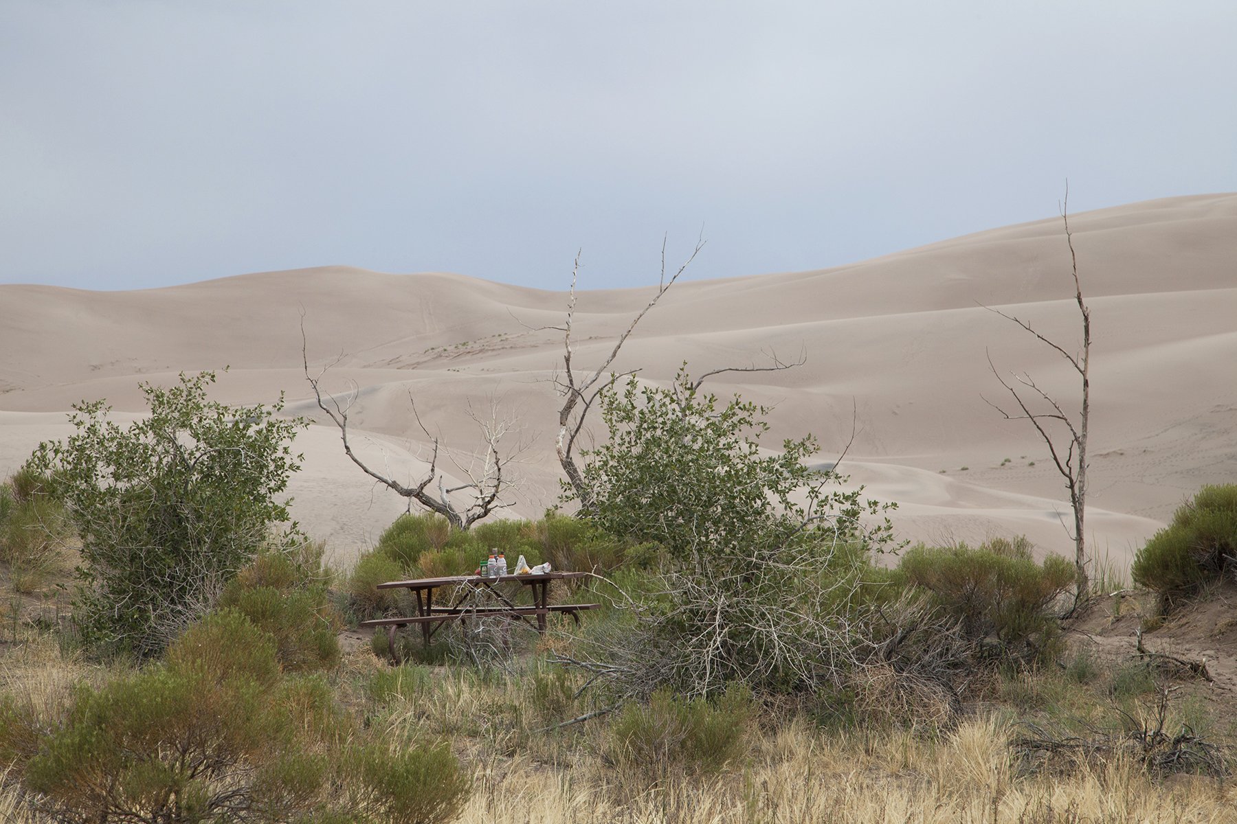 WEB At Great Sand Dunes National Park, Colorado 2012.jpg