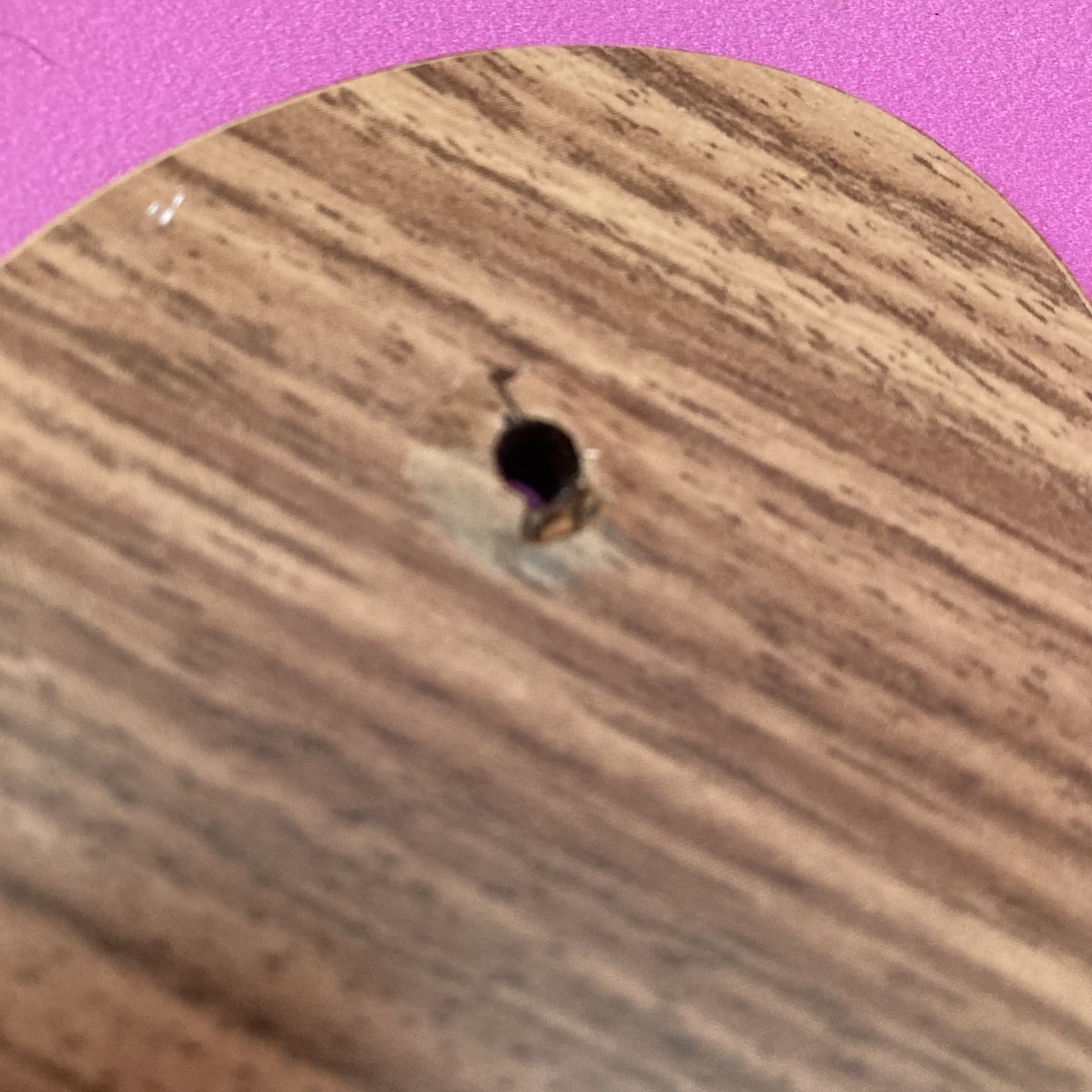 C8C3A2C5-5EB1-41F6-BA93-DCA939D710A0.jpeg