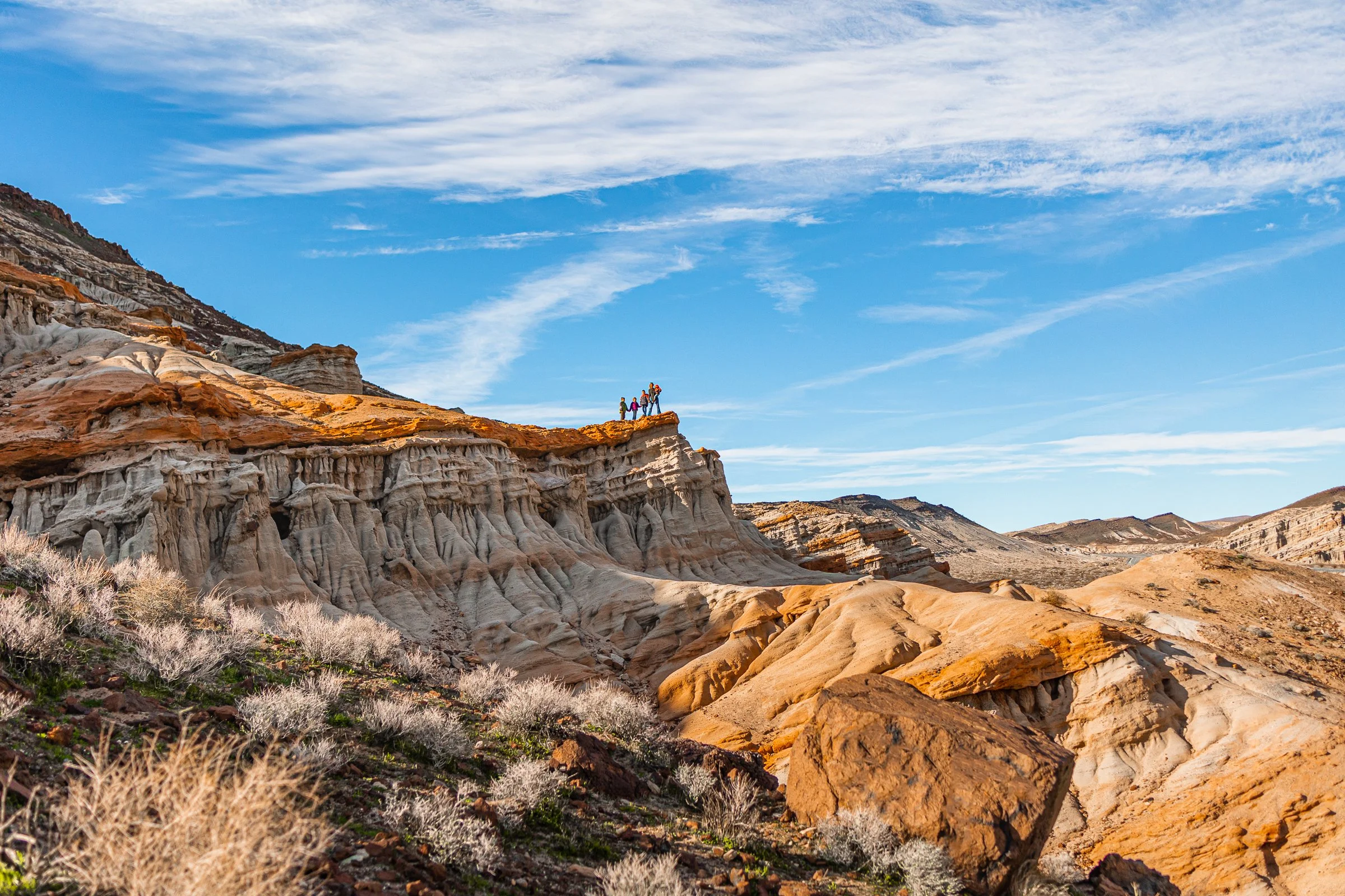 Get Outdoors and Feel Alive: Benefits of Nature in Our Lives 