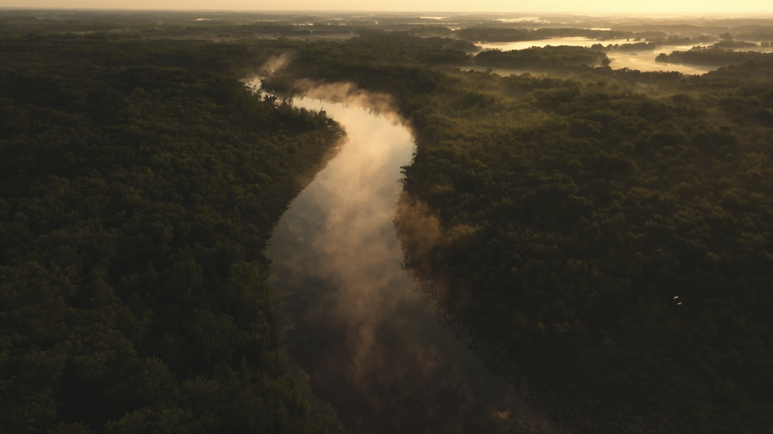 North Woods Summer Morning: Slow Down and Just Be