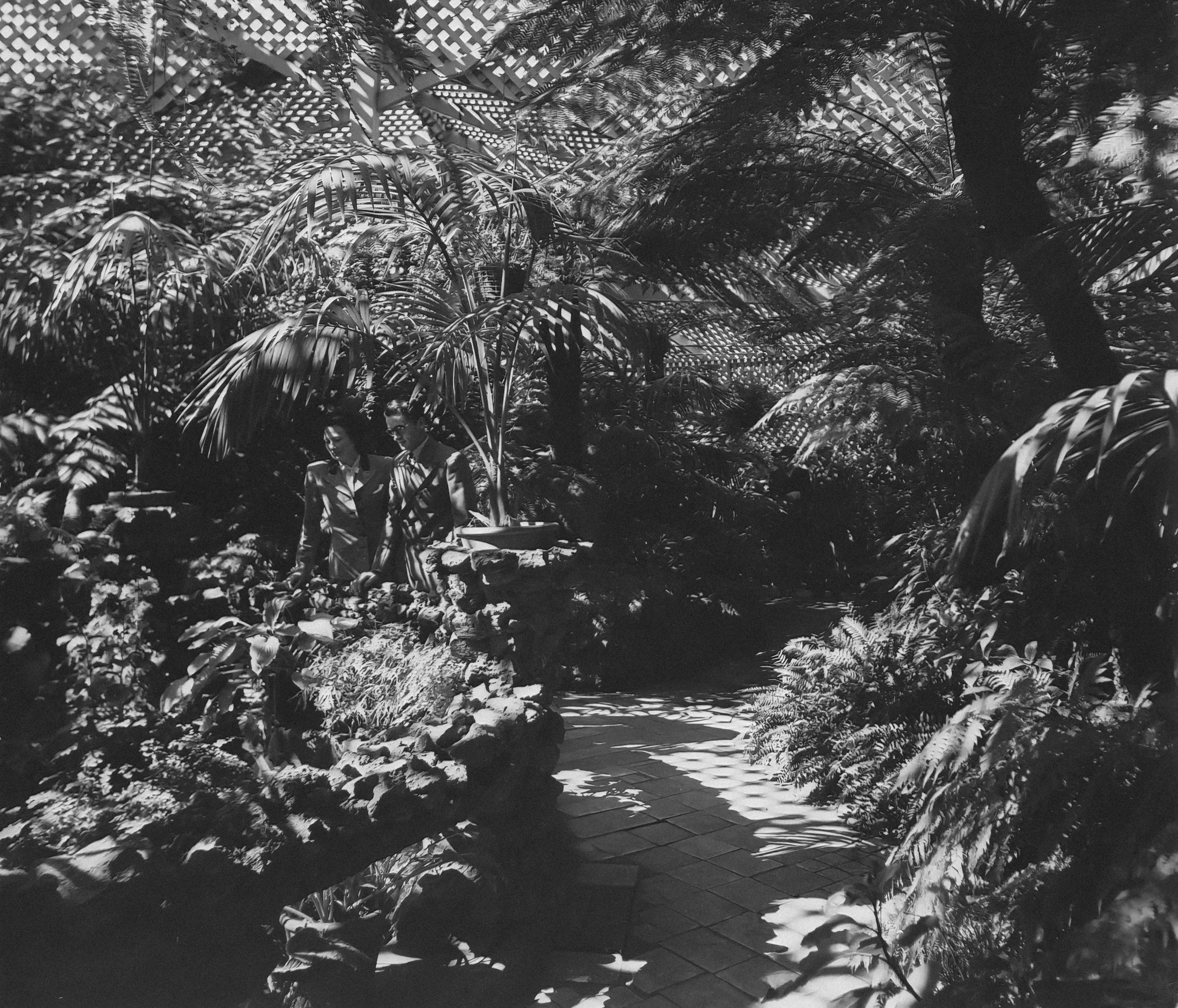 Maundy Thursday - God's Love in the Garden