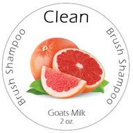 Clean Brush Shampoo - Orange